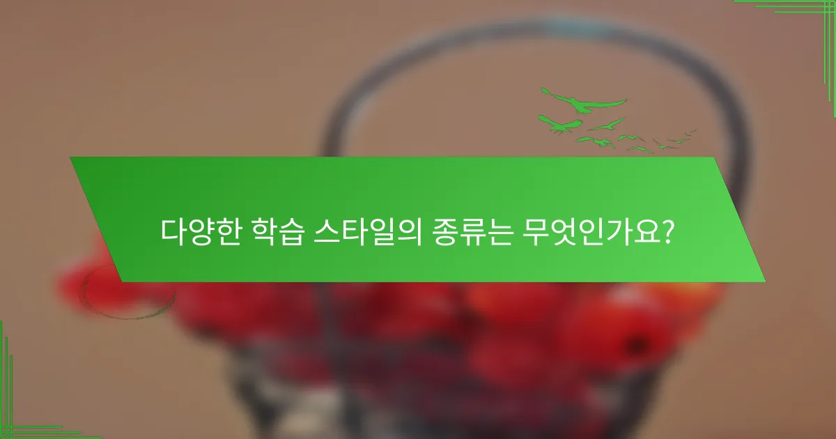 다양한 학습 스타일의 종류는 무엇인가요?