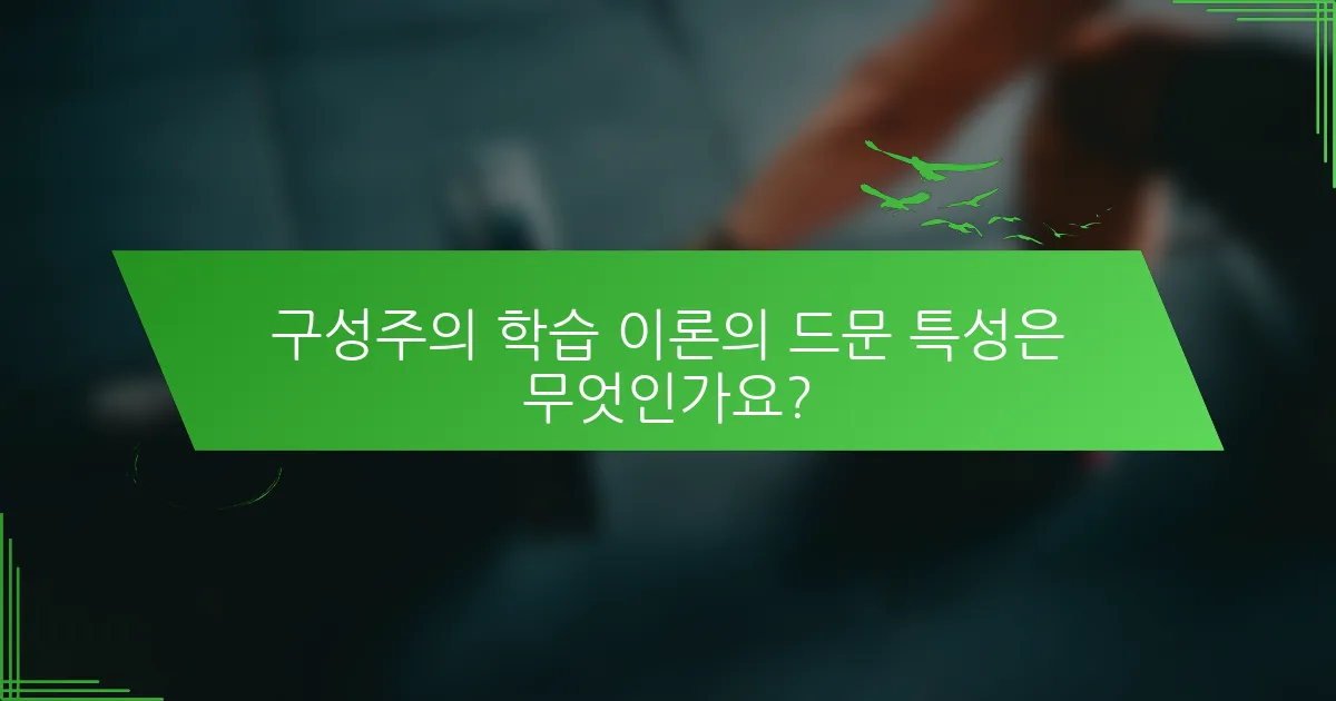 구성주의 학습 이론의 드문 특성은 무엇인가요?