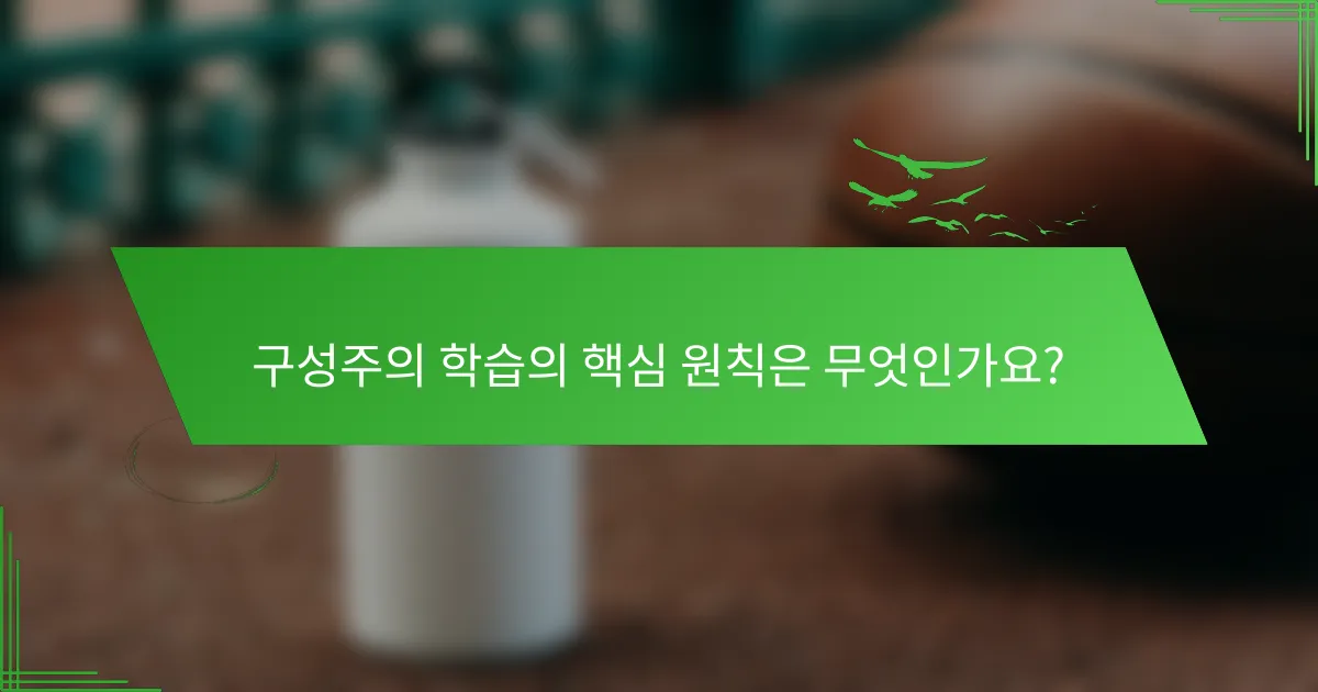 구성주의 학습의 핵심 원칙은 무엇인가요?