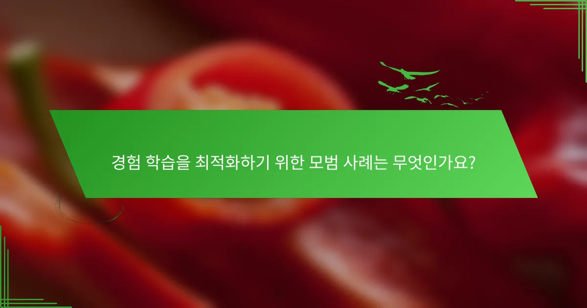 경험 학습을 최적화하기 위한 모범 사례는 무엇인가요?