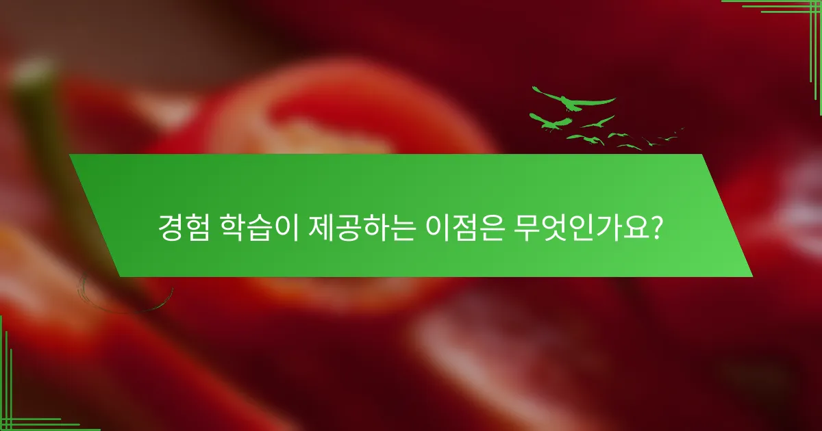 경험 학습이 제공하는 이점은 무엇인가요?
