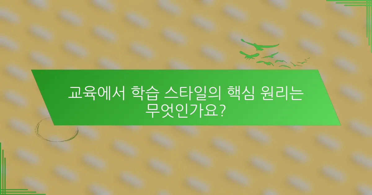 교육에서 학습 스타일의 핵심 원리는 무엇인가요?