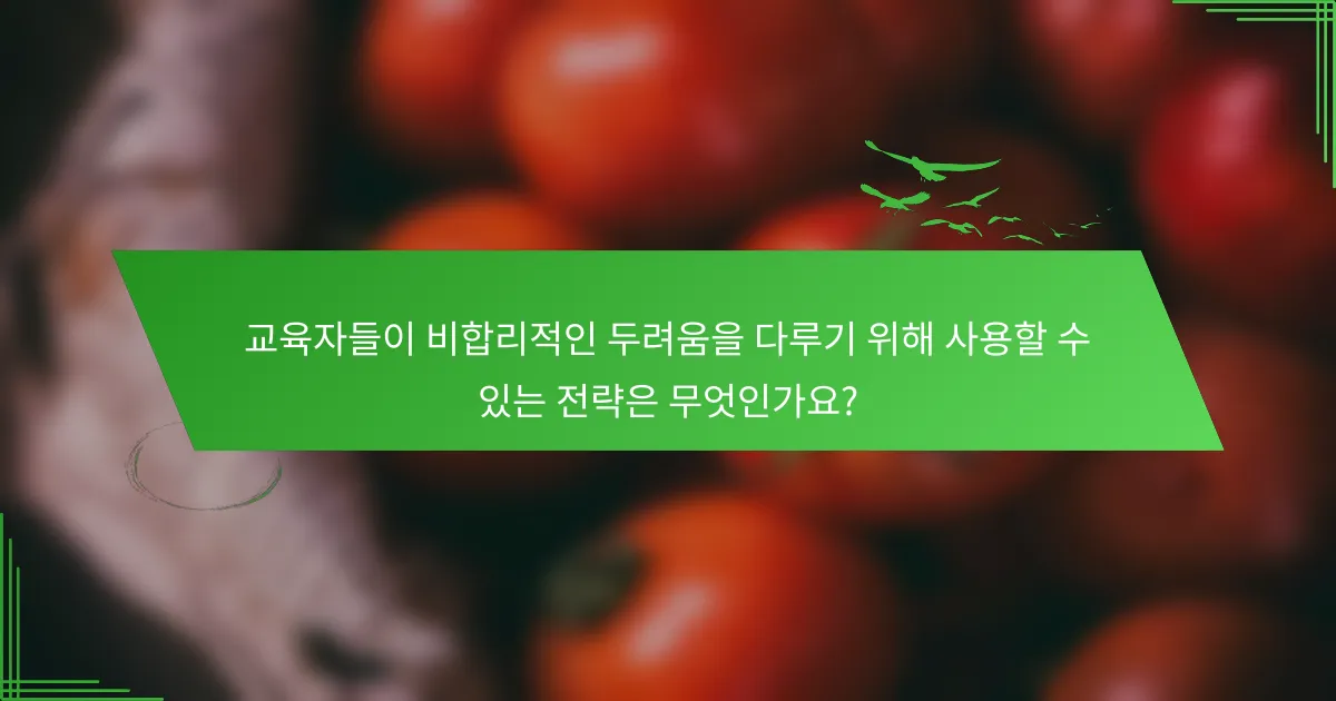 교육자들이 비합리적인 두려움을 다루기 위해 사용할 수 있는 전략은 무엇인가요?