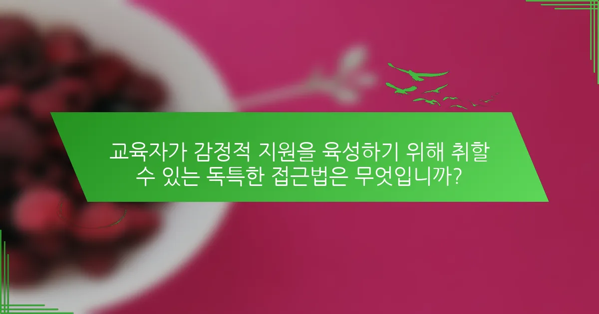 교육자가 감정적 지원을 육성하기 위해 취할 수 있는 독특한 접근법은 무엇입니까?