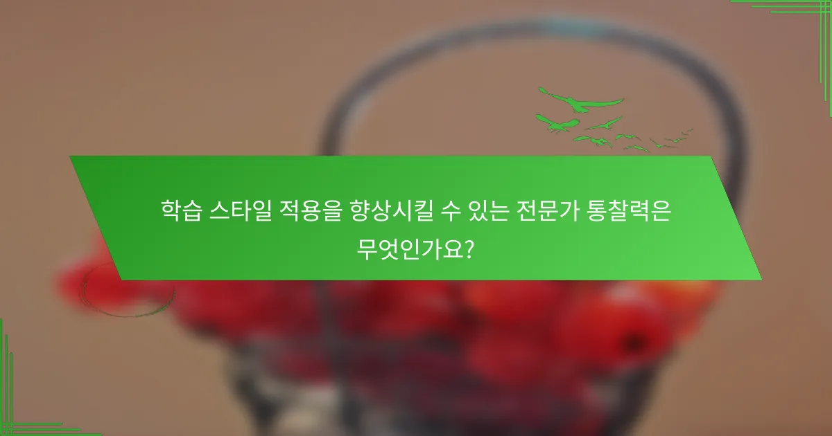 학습 스타일 적용을 향상시킬 수 있는 전문가 통찰력은 무엇인가요?