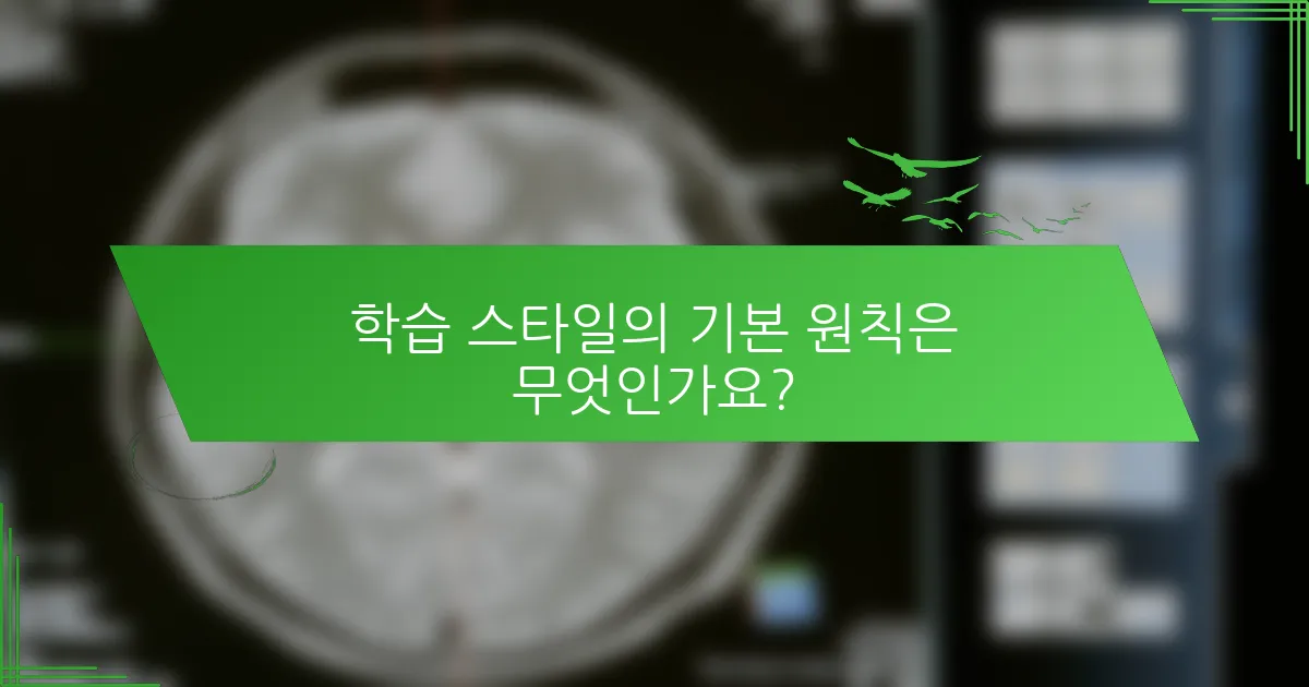 학습 스타일의 기본 원칙은 무엇인가요?