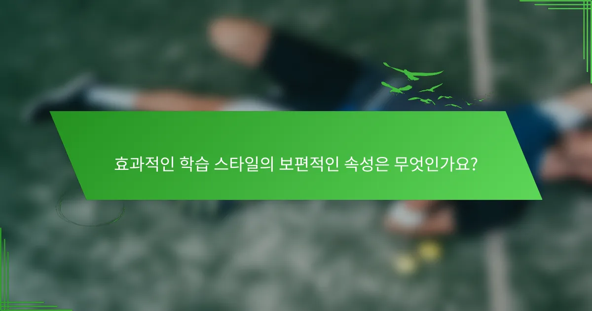 효과적인 학습 스타일의 보편적인 속성은 무엇인가요?