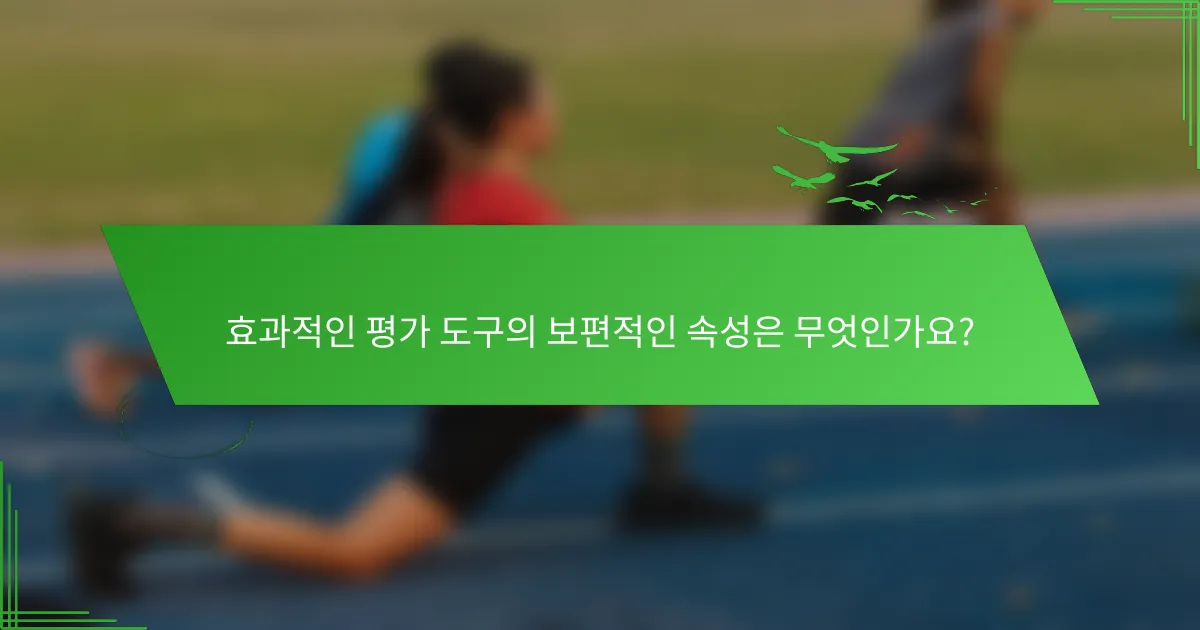 효과적인 평가 도구의 보편적인 속성은 무엇인가요?