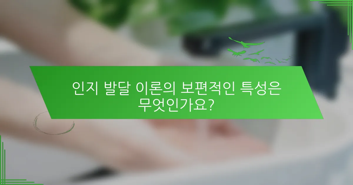인지 발달 이론의 보편적인 특성은 무엇인가요?