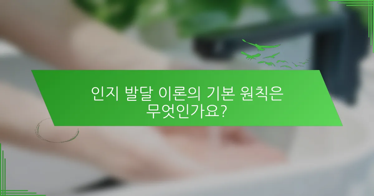 인지 발달 이론의 기본 원칙은 무엇인가요?