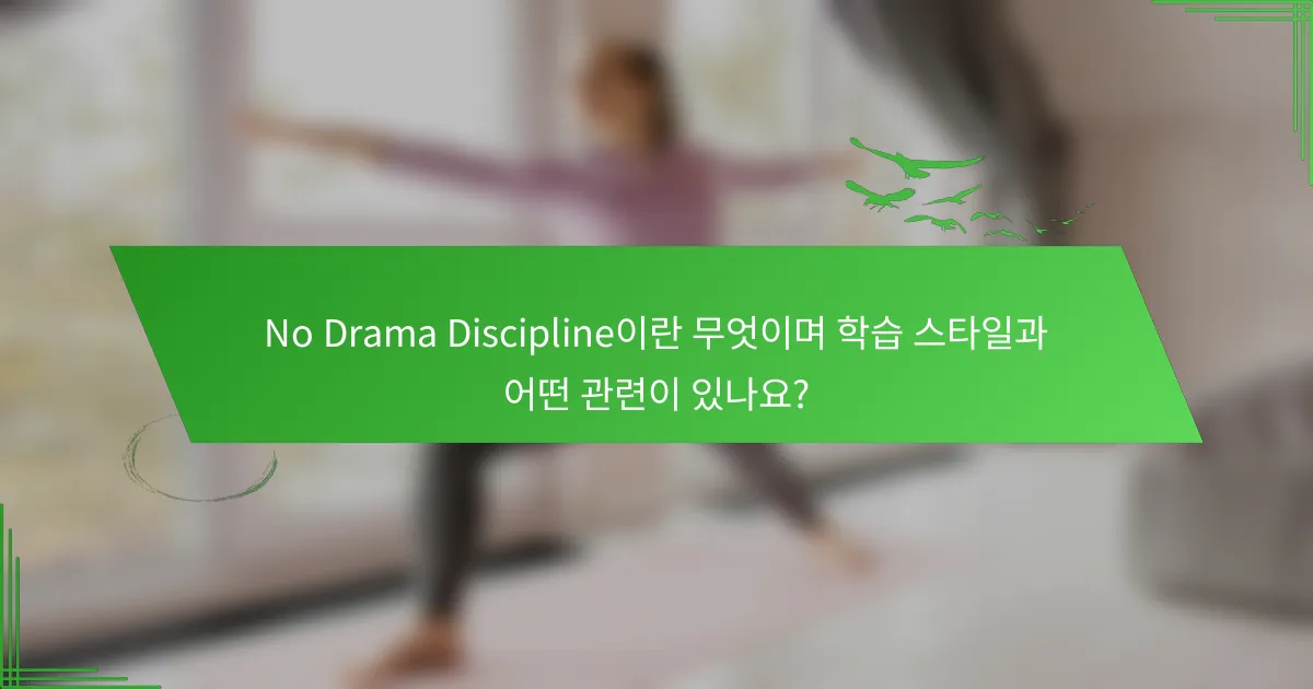 No Drama Discipline이란 무엇이며 학습 스타일과 어떤 관련이 있나요?