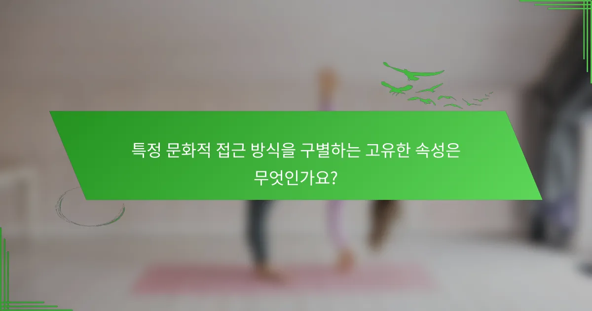 특정 문화적 접근 방식을 구별하는 고유한 속성은 무엇인가요?